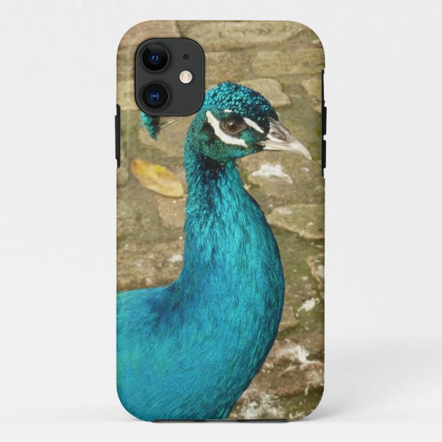 Peacock Beautiful Nature Photography Case-Mate iPhone Case (Back)