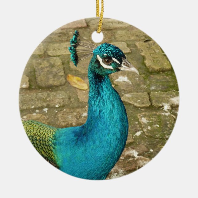 Peacock Beautiful Nature Photography Ceramic Tree Decoration (Front)