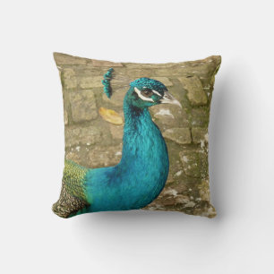 Peacock Beautiful Nature Photography Cushion