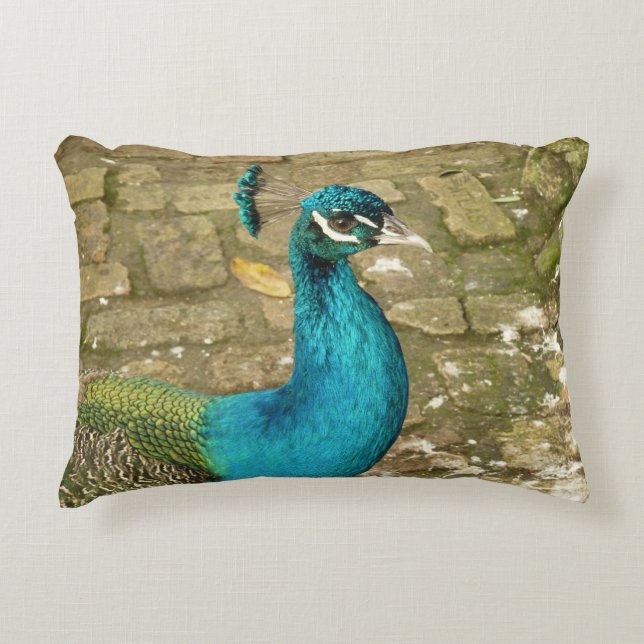 Peacock Beautiful Nature Photography Decorative Cushion (Front)