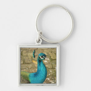 Peacock Beautiful Nature Photography Key Ring