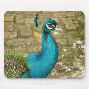 Peacock Beautiful Nature Photography Mouse Mat