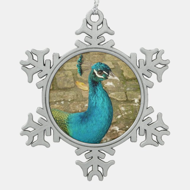 Peacock Beautiful Nature Photography Snowflake Pewter Christmas Ornament (Front)
