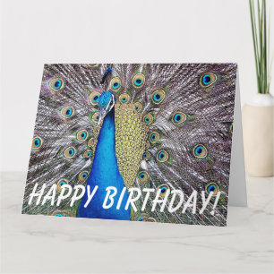 Peacock Bird Birthday Big Greeting Card