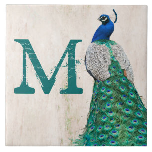 Peacock Bird Feather Teal Monogram Display Tile