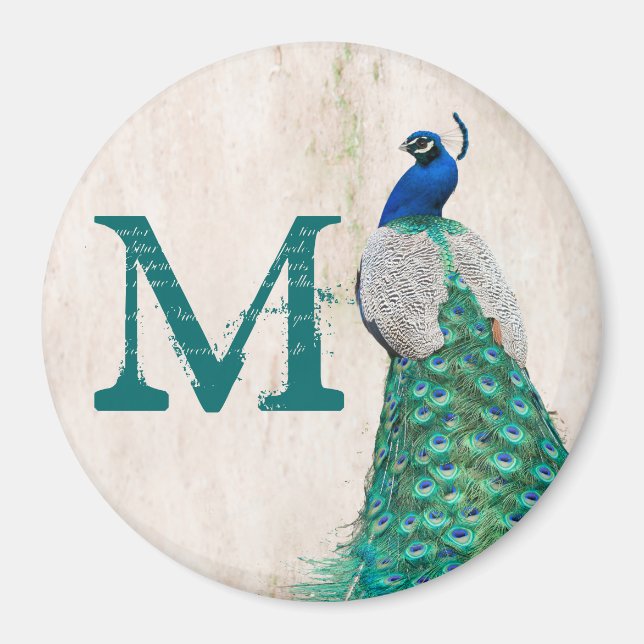 Peacock Bird Feather Teal Monogram Initial Magnet (Front)