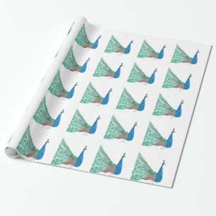Peacock bird feathers blue Green watercolor Wrapping Paper