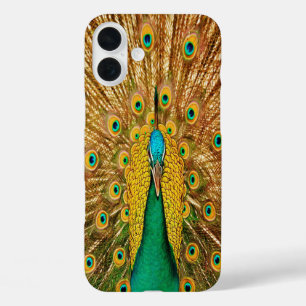 Peacock Bird Feathers iPhone 16 Plus Case