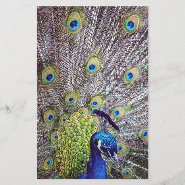 Peacock bird feathers stationery (Front)