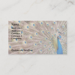 Peacock Bird Feathers Wildlife Animals Business Card