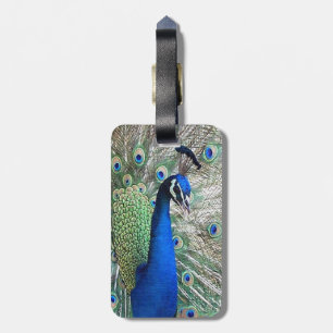 Peacock Bird Luggage Tag