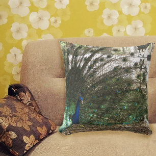 Peacock Bird Plumage and Albino Peahen Photograph Cushion