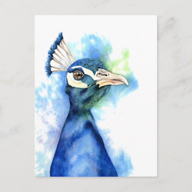 Peacock Bird Watercolor Art Postcard (Front)