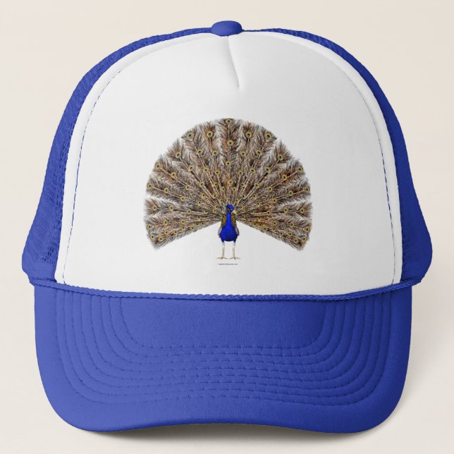 Peacock Blue Hat (Front)