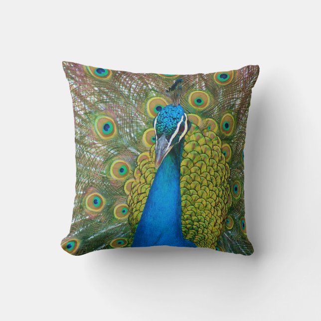 Peacock Blue Head with and Colourful Tail Feathers Cushion (Front)