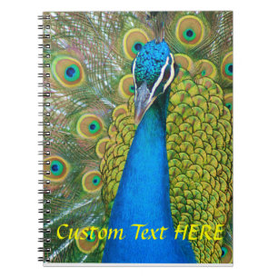 Peacock Blue Head with and Colourful Tail Feathers Notebook