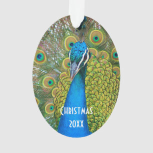 Peacock Blue Head with and Colourful Tail Feathers Ornament