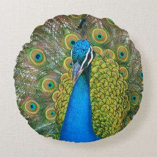 Peacock Blue Head with and Colourful Tail Feathers Round Cushion