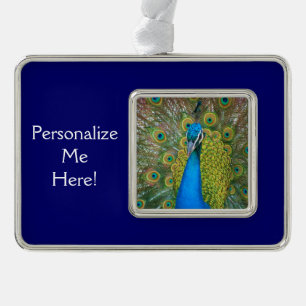 Peacock Blue Head with and Colourful Tail Feathers Silver Plated Framed Ornament