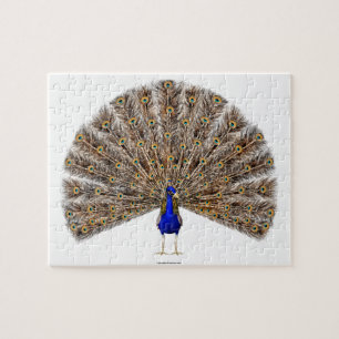 Peacock Blue Jigsaw Puzzle