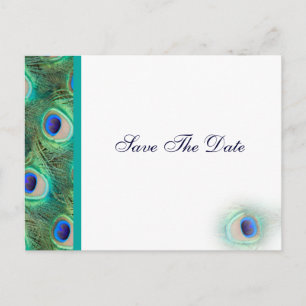 peacock blue  Save the Date Announcement Postcard