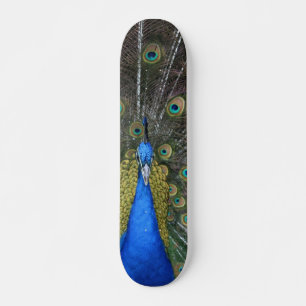 Peacock board skateboard