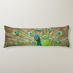 Peacock Body Cushion