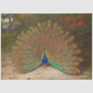 Peacock Boho Decoupage Peacocks Colourful Vintage Tissue Paper