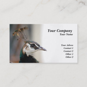 Peacock Business Card
