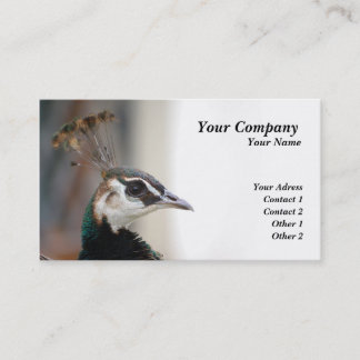 Peacock Business Card