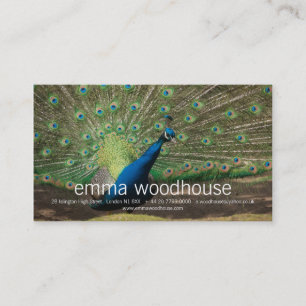 Peacock Business Card