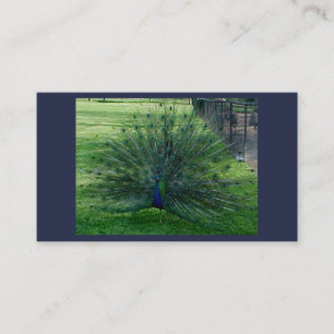 Peacock Business Cards