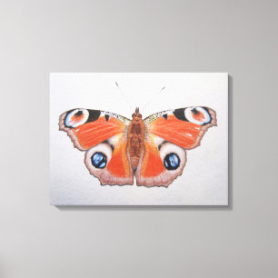 Peacock Butterfly 2012 Canvas Print