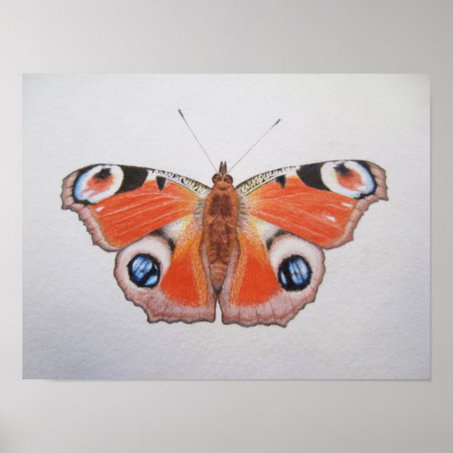 Peacock Butterfly 2012 Poster (Front)