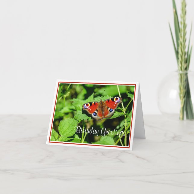 Peacock Butterfly Birthday Greeting Card (Front)