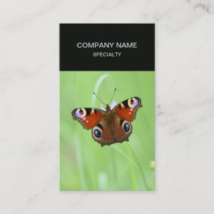 Peacock Butterfly Business Card