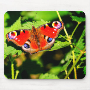 Peacock butterfly, butterfly, leaves mouse mat