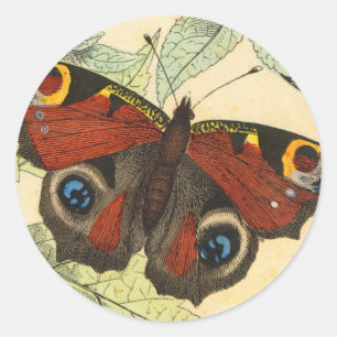 Peacock Butterfly Classic Round Sticker