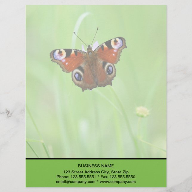 Peacock Butterfly Custom Letterhead (Front)