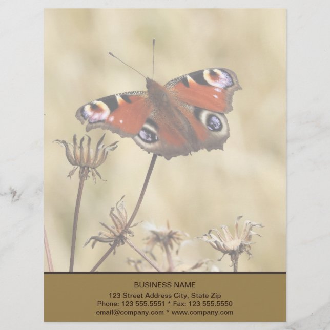 Peacock Butterfly Custom Letterhead (Front)