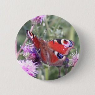 Peacock Butterfly in Summer Sunshine 6 Cm Round Badge