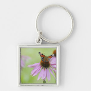 Peacock butterfly (Inachis io) drinking nectar Key Ring