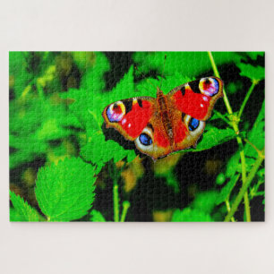 Peacock Butterfly. Jigsaw Puzzle