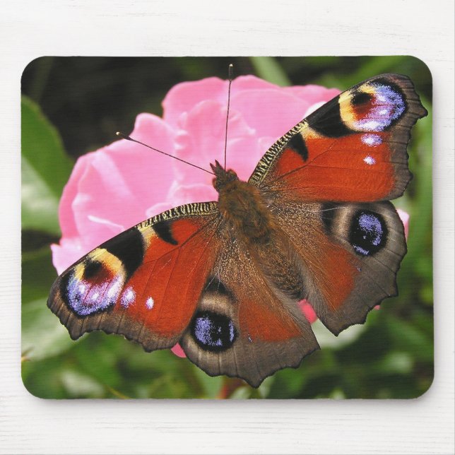 Peacock butterfly mouse mat (Front)
