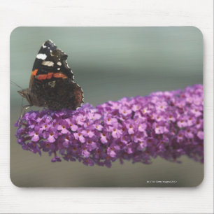 Peacock butterfly on flower mouse mat