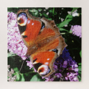 Peacock Butterfly On Mauve Buddleia Jigsaw Puzzle