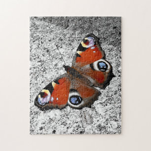 Peacock butterfly photograph jigsaw puzzle