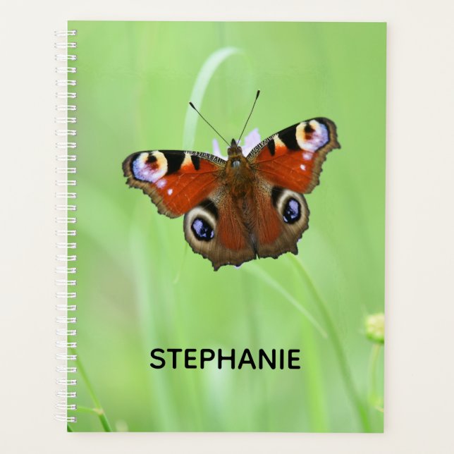 Peacock Butterfly Planner (Front)