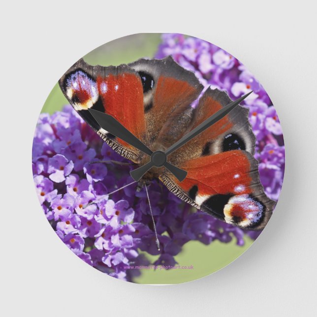 Peacock Butterfly Wall Clock (Front)