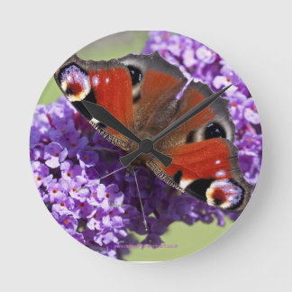 Peacock Butterfly Wall Clock